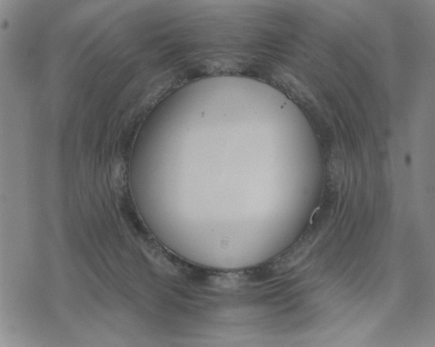 X0000076270079200610191750