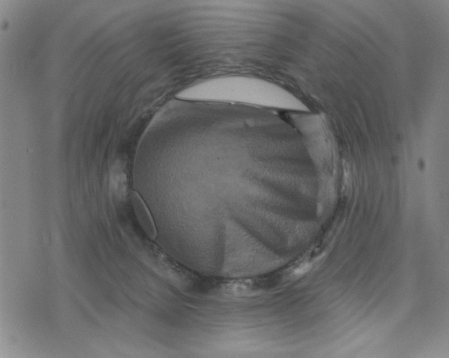 X0000076270080200610191750