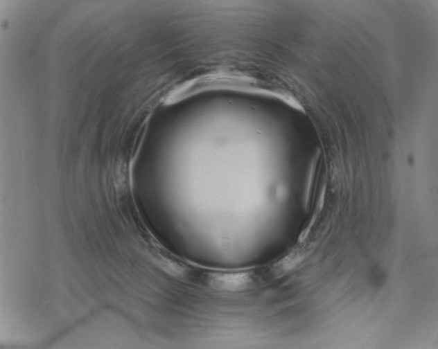 X0000076270081200610191750