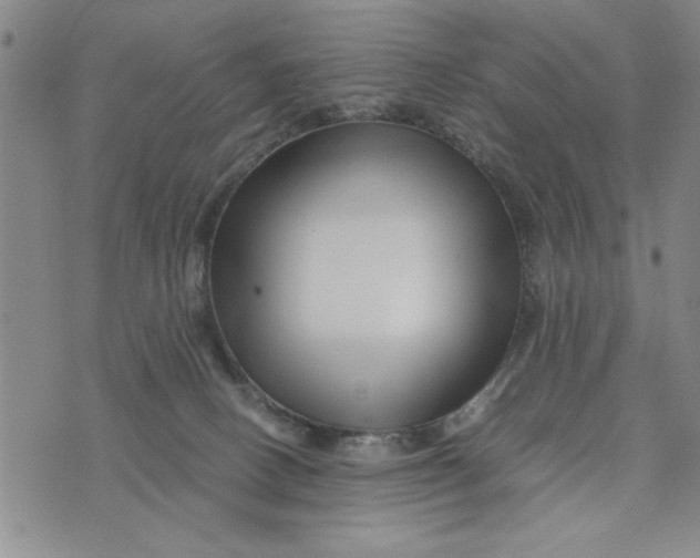 X0000076270082200610191750