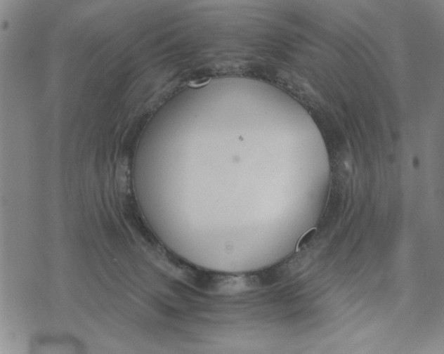 X0000076270083200610191750