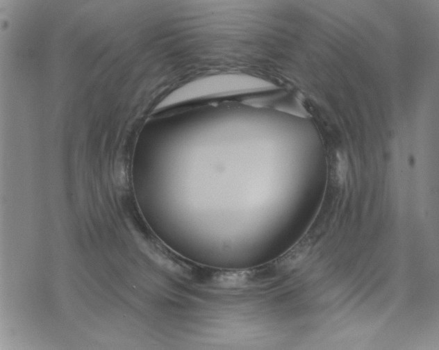 X0000076270084200610191750