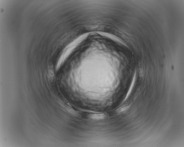 X0000076270085200610191750