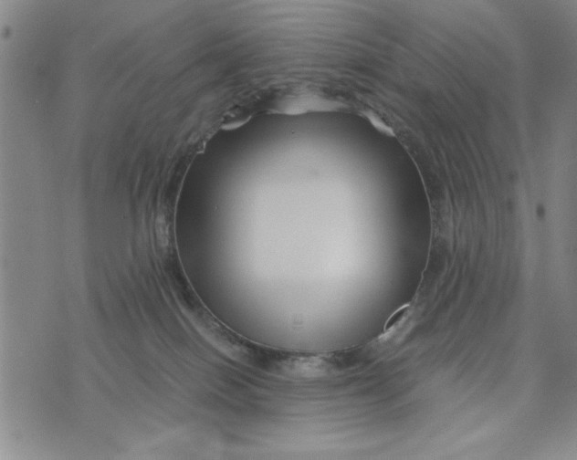 X0000076270086200610191750