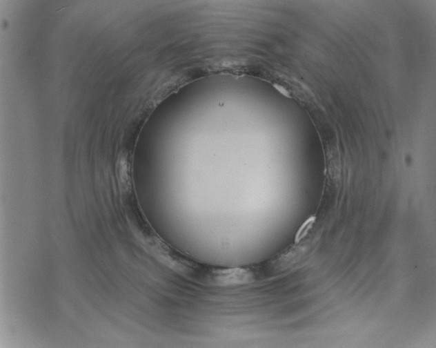 X0000076270087200610191750