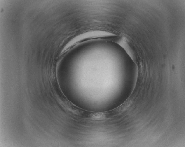 X0000076270088200610191750