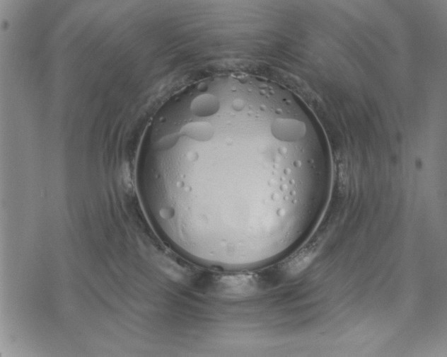 X0000076270089200610191750