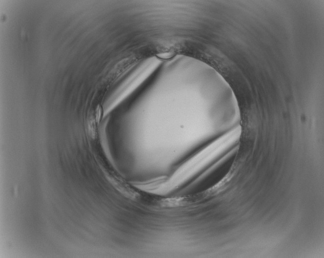 X0000076270090200610191750