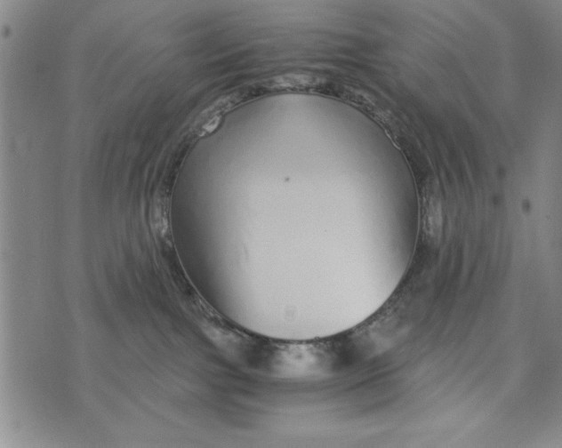 X0000076270091200610191750