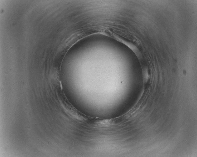 X0000076270092200610191750