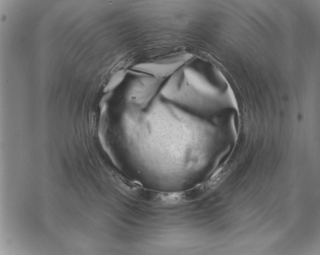 X0000076270093200610191750