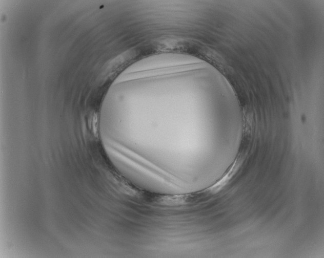 X0000076270094200610191750