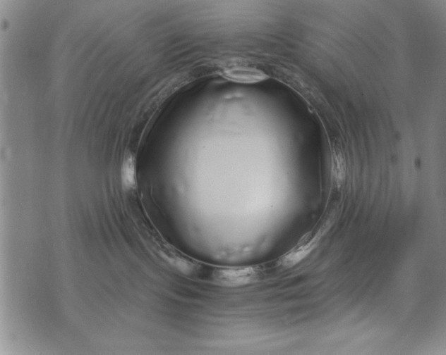 X0000076270095200610191750