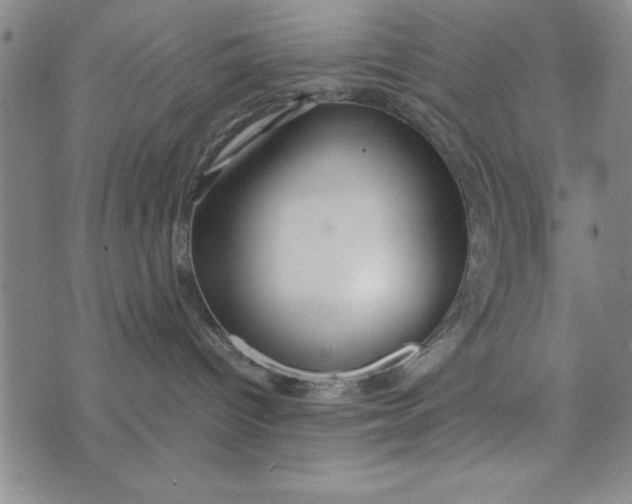 X0000076270096200610191750