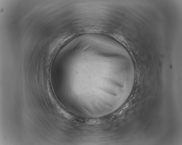 X0000076270097200610191750