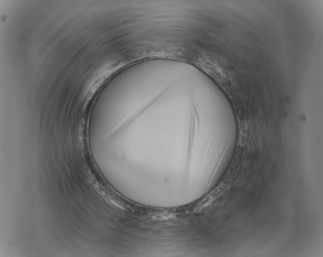 X0000076270098200610191749