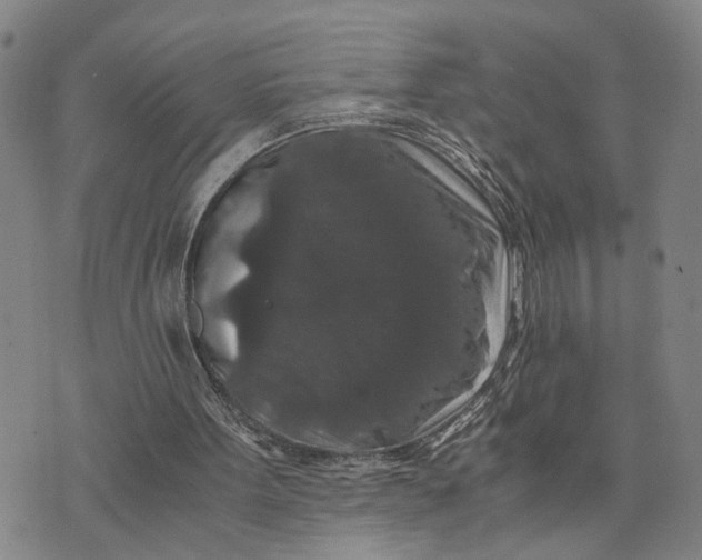 X0000076270099200610191749