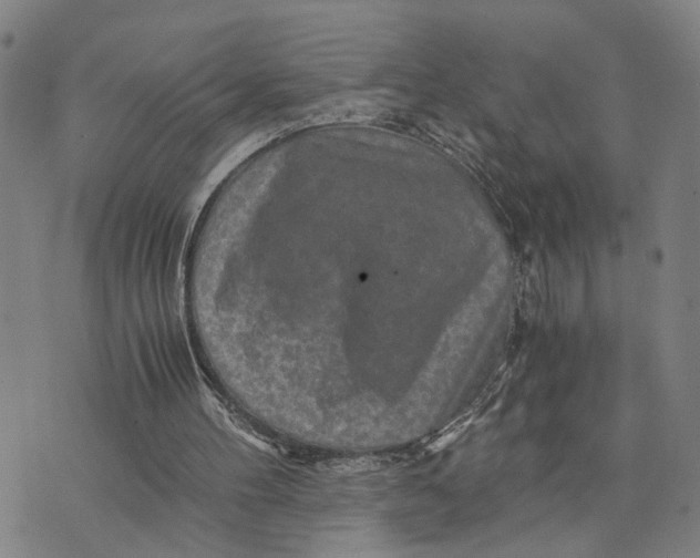 X0000076270100200610191749