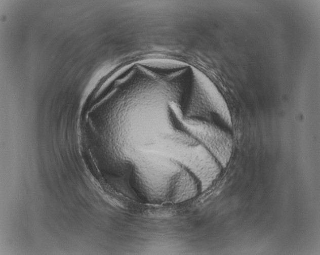 X0000076270102200610191749