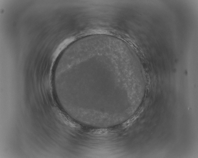 X0000076270104200610191749