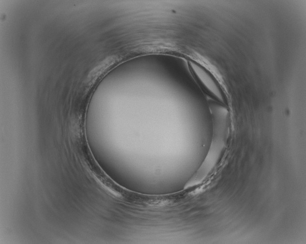 X0000076270105200610191749