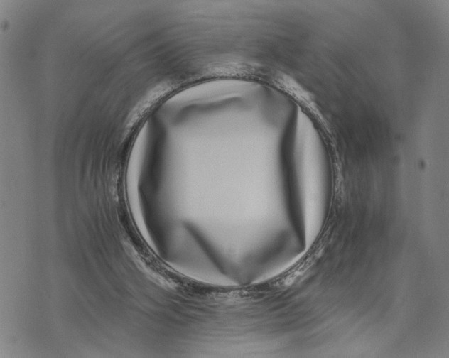 X0000076270106200610191749