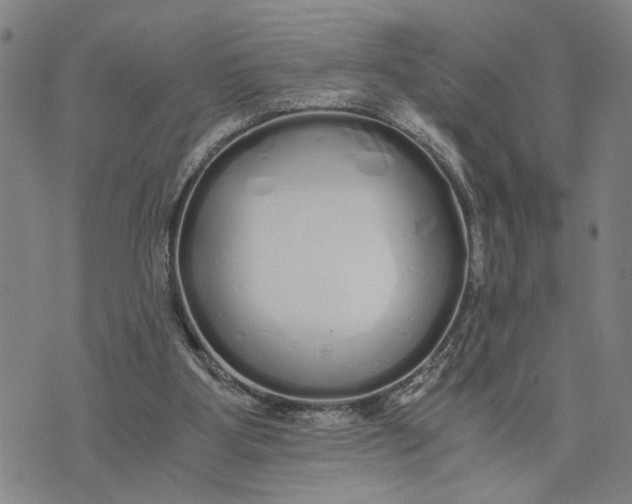 X0000076270107200610191749