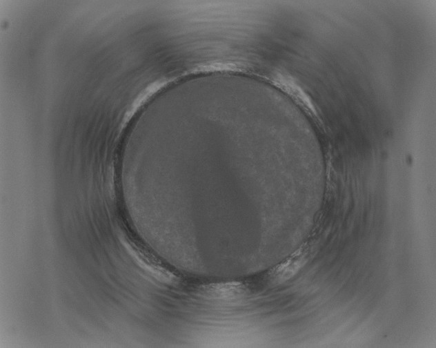 X0000076270108200610191749