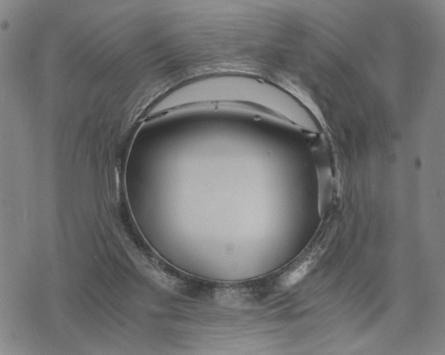 X0000076270109200610191749