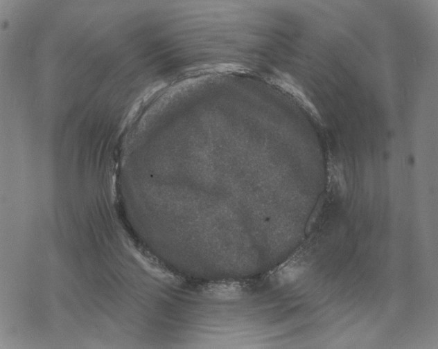 X0000076270110200610191749