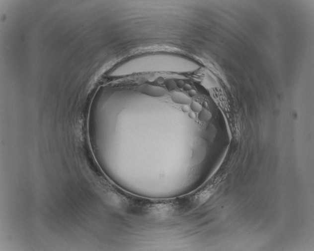 X0000076270111200610191749