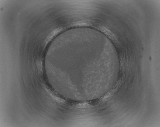 X0000076270112200610191749