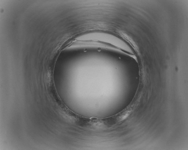 X0000076270113200610191749