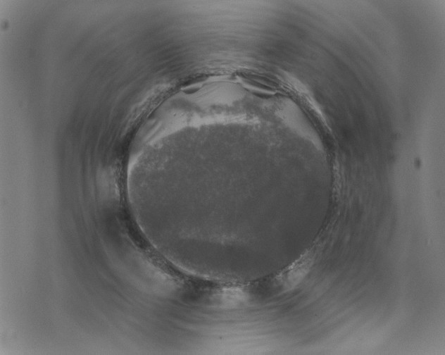 X0000076270114200610191749