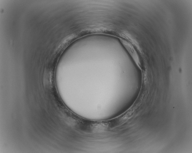 X0000076270115200610191749