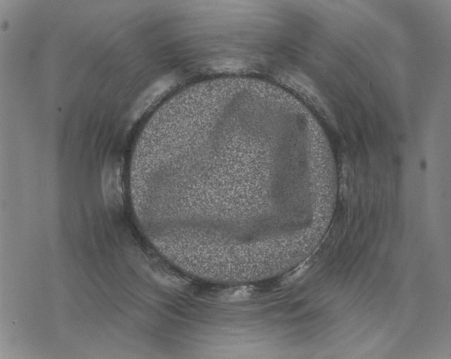 X0000076270116200610191749