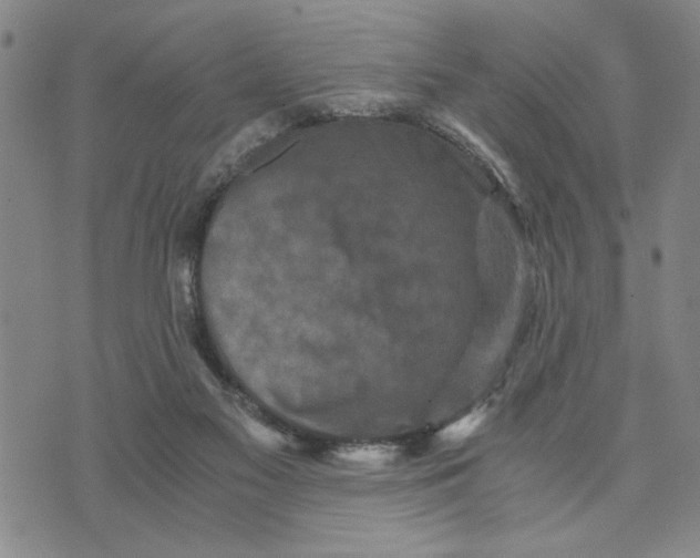 X0000076270117200610191749