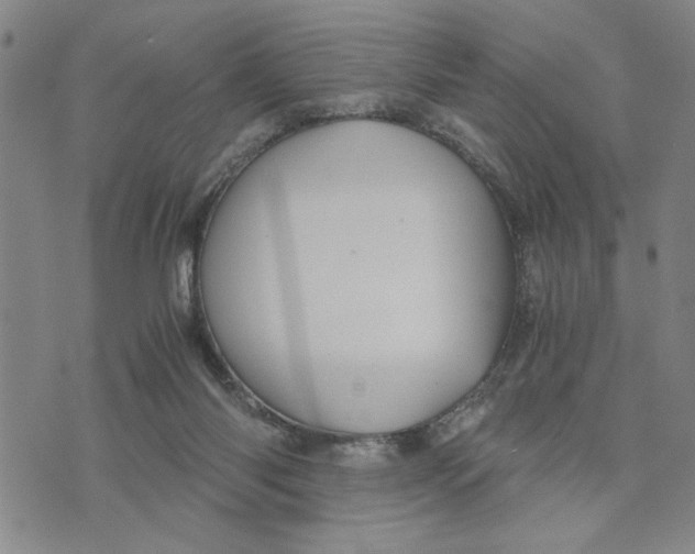 X0000076270118200610191749