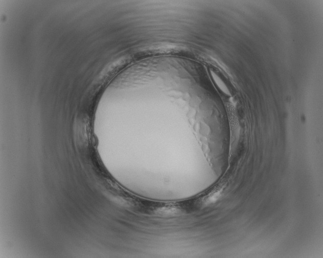 X0000076270119200610191749