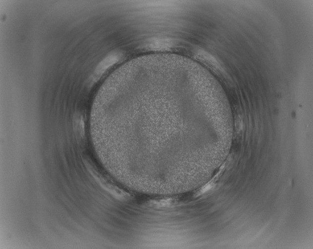 X0000076270120200610191749