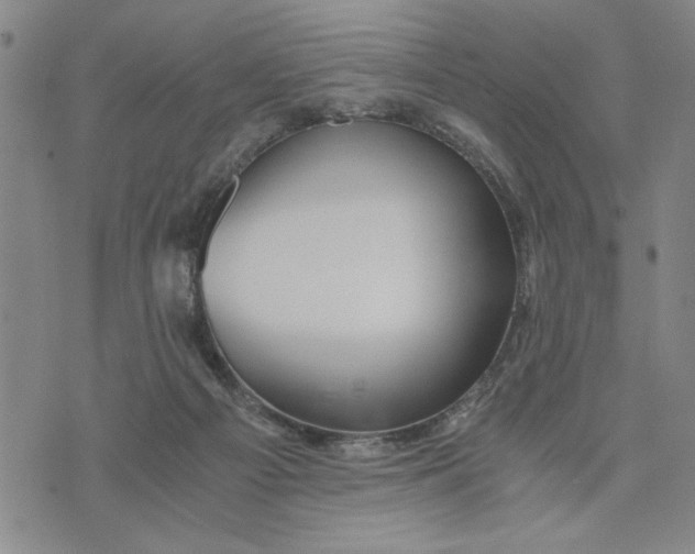 X0000076270121200610191749