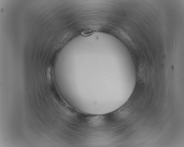 X0000076270122200610191749