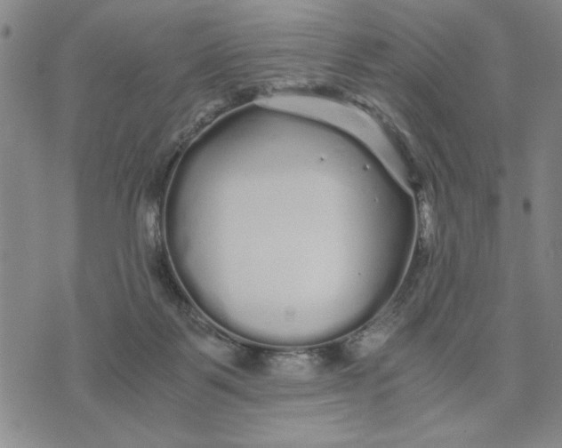 X0000076270123200610191749