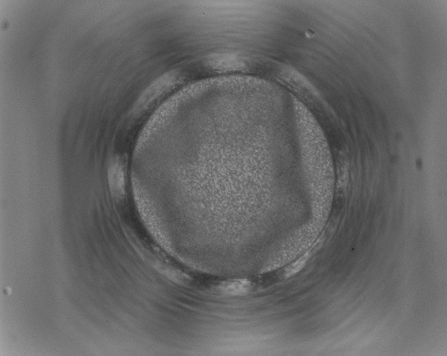 X0000076270124200610191749