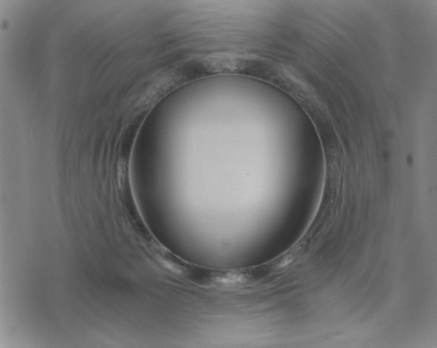 X0000076270125200610191749