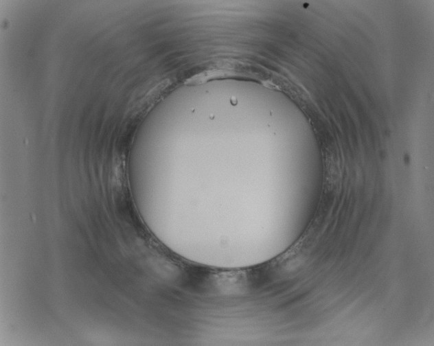 X0000076270126200610191749