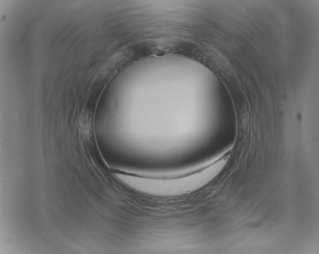 X0000076270129200610191749