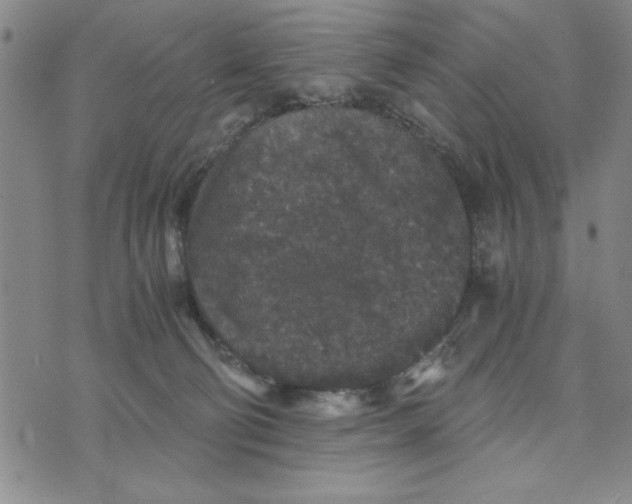 X0000076270130200610191749