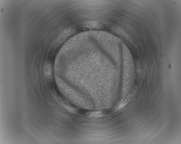 X0000076270132200610191749