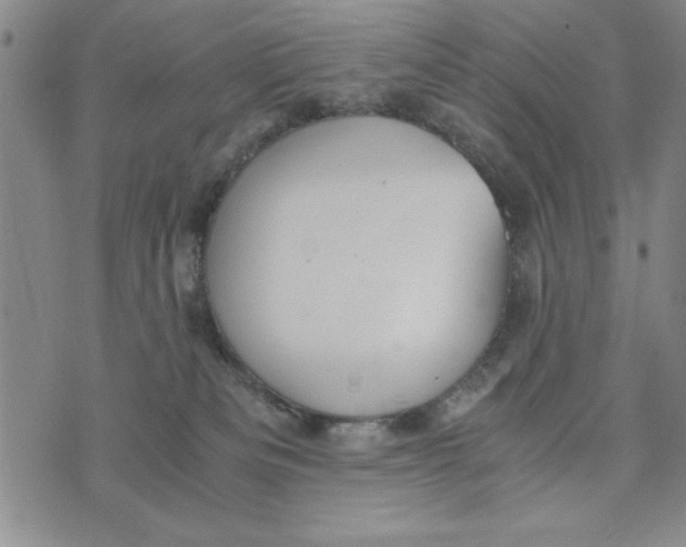 X0000076270133200610191749